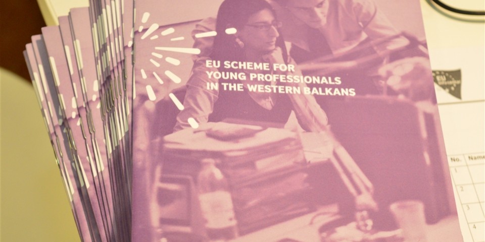 Young Professionals