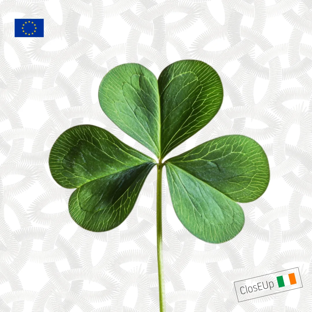 Campaign Image 2
